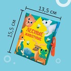 Книжка - шуршалка Крошка Я «Лесные животные», 14×16 см - Фото 13