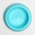 Миска для кошек и собак 200 мл, 14.5×3 см, голубой - Фото 3