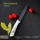 Нож кухонный универсальный Доляна «Мрамор», лезвие 12,5 см - фото 318660005