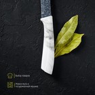 Нож кухонный универсальный Доляна «Мрамор», лезвие 12,5 см - фото 42612817