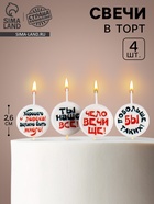 Свечи для торта на шпажках «Круг с надписью № 2», 2.6 см, 25 г, набор 4 шт. - Фото 1