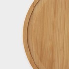 Блюдо для подачи и сервировки Доляна, с крышкой клош, d=24 см, бамбук - Фото 6