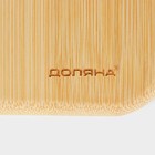 Блюдо для подачи Доляна «Бамбук», 16×16 см, квадратное, бамбук - фото 8675348