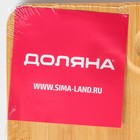 Блюдо для подачи Доляна «Бамбук», 16×16 см, квадратное, бамбук - Фото 9