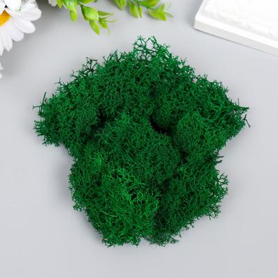 Мох стабилизированный «Ярко-зелёный» 45 г (±5 г)