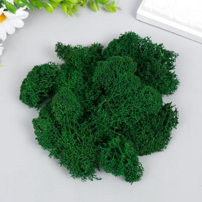 Мох стабилизированный «Ель» 45 г (±5 г)