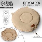 Лежанка для животных на стяжке с ушками, цвет бежевый 30-50 см - Фото 1