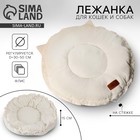 Лежанка для животных на стяжке с ушками, цвет белый 30-50 см - Фото 1
