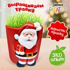 Набор для опытов «Выращиваем травку: Дед Мороз» - Фото 1