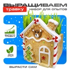 Набор для опытов «Выращиваем травку: Домик», с семенами - Фото 1