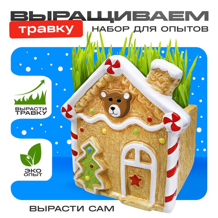 Набор для опытов «Выращиваем травку: Домик», с семенами - Фото 1