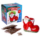 Набор для опытов «Выращиваем травку: Сапожок», с семенами - Фото 2