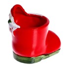 Набор для опытов «Выращиваем травку: Сапожок», с семенами - Фото 5