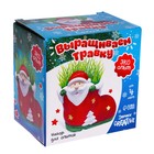 Набор для опытов «Выращиваем травку: Сапожок», с семенами - Фото 7