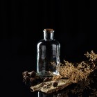 Бутылка стеклянная для соусов и масла с пробковой крышкой Доляна «Парфе», 1,1 л, 10×20,5 см - фото 7773325