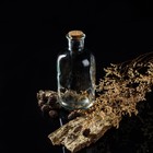 Бутылка стеклянная для соусов и масла с пробковой крышкой Доляна «Парфе», 1,1 л, 10×20,5 см - фото 7773326