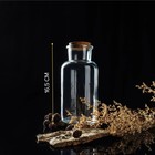 Бутылка стеклянная для соусов и масла с пробковой крышкой Доляна «Парфе», 750 мл, 8×16,5 см - фото 7773332