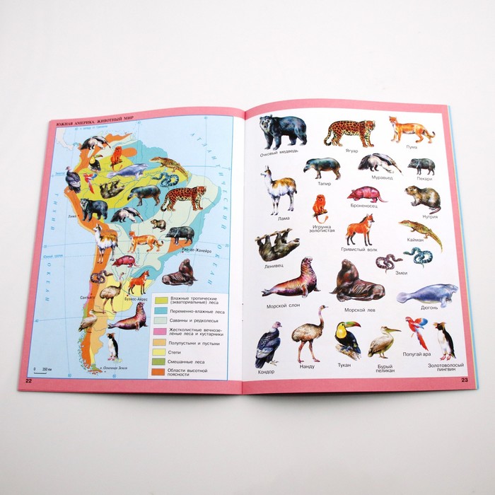 Учебник. ФГОС. География + приложение, 2021 г. 8 класс. Лифанова Т. М. 6982544