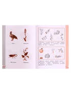 Рабочая тетрадь «Окружающий мир №2», новое оформление, 1 класс, Ивченкова Г.Г., ФГОС - Фото 5