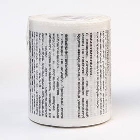 Сувенирная туалетная бумага "Объяснительная",  9,5х10х9,5 см