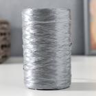 Пряжа "Для вязания мочалок" 100% полипропилен 400м/100±10 гр в форме цилиндра (серебро) - фото 318661669