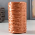 Пряжа "Для вязания мочалок" 100% полипропилен 400м/100±10 гр в форме цилиндра (бронза) - фото 318661688