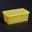 Ящик для хранения с крышкой «Колор. Стайл», 5 л, 32×19×12 см, цвет МИКС - Фото 4