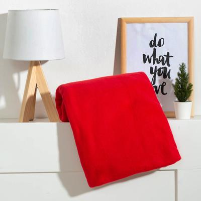 Плед флисовый «Экономь и Я», 75×100 см, красный, 160 г/м²