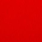 Плед флисовый «Экономь и Я», 75×100 см, красный, 160 г/м² - Фото 2