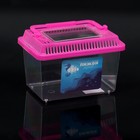 Переноска-отсадник, прямоугольный, 13.5×9.3×10 см, розовый - Фото 1