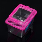 Переноска-отсадник, прямоугольный, 13.5×9.3×10 см, розовый - Фото 3