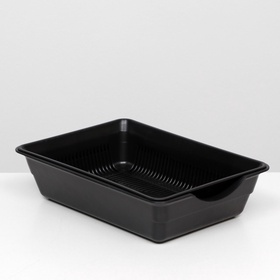 Туалет глубокий с сеткой 36 х 25 х 9 см, чёрный