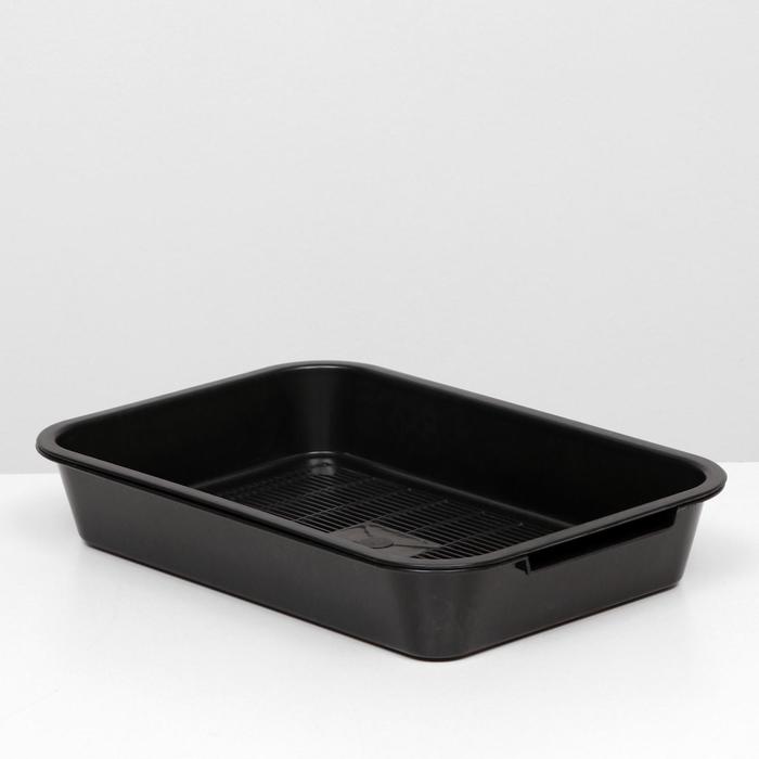 Лоток с сеткой №3, 36 х 26 х 6,5 см, чёрный - Фото 1