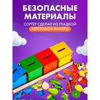 Сортер «Окружающий мир» - Фото 5