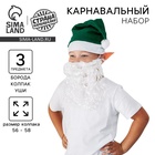 Карнавальный набор «Гномик»: борода, колпак, ушки - Фото 1