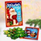 Новогодний подарок. Развивающий набор с играми «Новый год! Посылка от Деда Мороза» - фото 299818107
