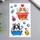 Татуировка на тело цветная "Пёсики корги" МИКС 12х7,5 см (комплект 5 шт) - фото 24627799