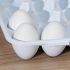 Контейнер для хранения яиц, 30 ячеек, 32,5×27,5×7,5 см, цвет белый - фото 9140848