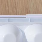 Контейнер для хранения яиц, 30 ячеек, 32,5×27,5×7,5 см, цвет белый - фото 9140849