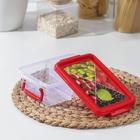 Ланч-бокс прямоугольный, 2 отделения, 22×14×10 см, цвет МИКС - фото 24380516