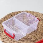 Ланч-бокс прямоугольный, 2 отделения, 22×14×10 см, цвет МИКС - фото 24380517