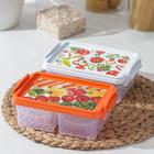 Ланч-бокс прямоугольный, 2 отделения, 22×14×10 см, цвет МИКС - фото 24380520