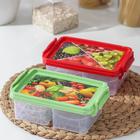 Ланч-бокс прямоугольный, 2 отделения, 22×14×10 см, цвет МИКС - фото 24380521