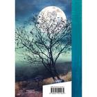 Выхожу один я на дорогу... Лермонтов Михаил Юрьевич - Фото 2