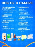 Адвент - календарь «Смешарики», детский, 9 окошек с подарками: 9 опытов - Фото 2