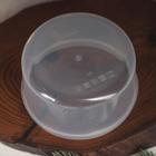Контейнер пищевой Доляна «Шишки», 500 мл, круглый, цвет бирюзовый - Фото 4
