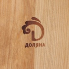 Менажница Доляна «Авеллино», 18×18×1.8 см см, 2 секции, дерево берёза, пропитана маслом - фото 23534137