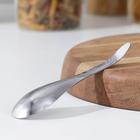Тёрка для сыра Доляна Steel, 17×4.5 см, нержавеющая сталь, цвет серебристый 6964577 - фото 8910736 Тёрка для сыра Доляна Steel, 17×4.5 см, нержавеющая сталь, цвет серебристый 6964577 - фото 8910736