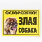 Табличка ламинированая "Осторожно! Злая собака" Кавказец - фото 9403201