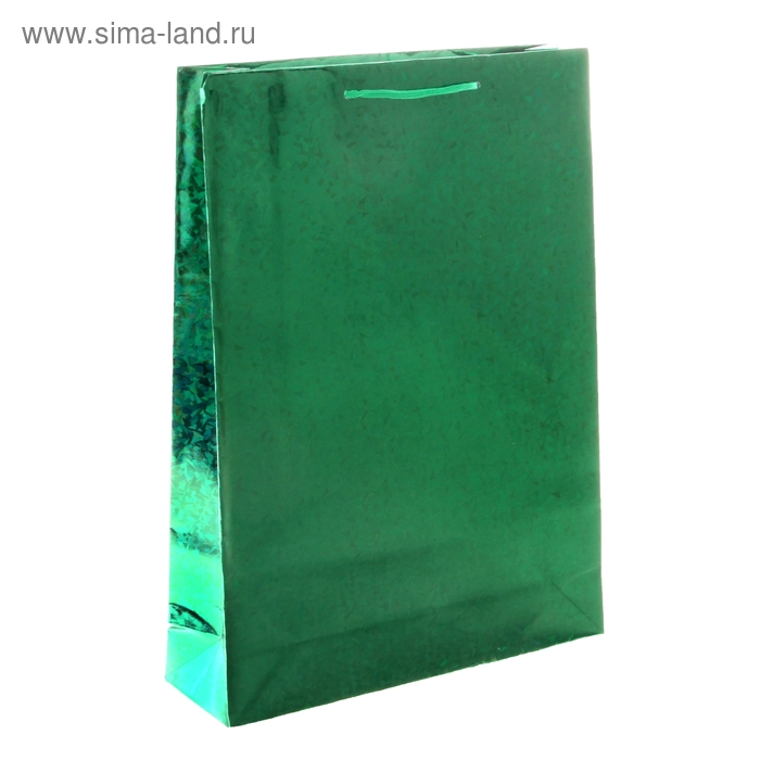 Пакет голографический, зелёный, рисунок МИКС, 32 х 10 х 44 см - Фото 1